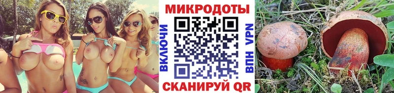 Купить  Яхрома  Псилоцибиновые грибы Magic Shrooms 