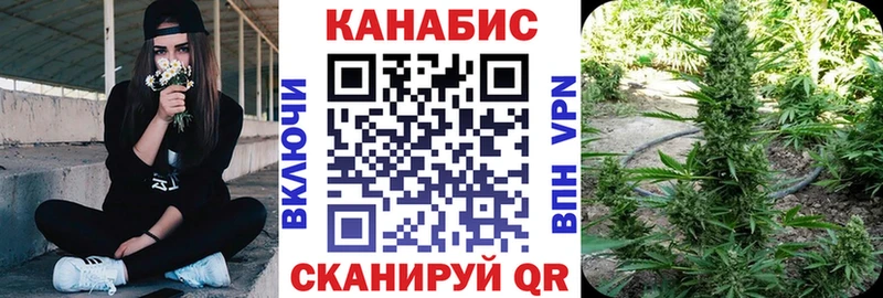 Купить закладки  Яхрома  Бошки Шишки White Widow 